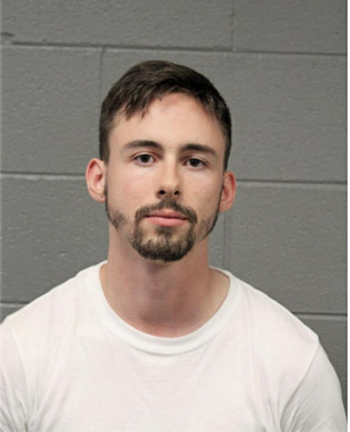 NATHAN D WOODS, Cook County, Illinois