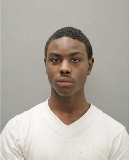 JAMONTAE D YOUNG, Cook County, Illinois