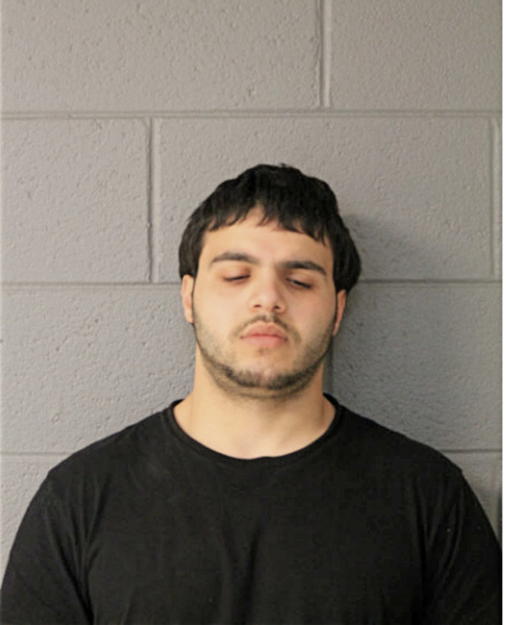 MOHAMMAD T ABUBAKR, Cook County, Illinois