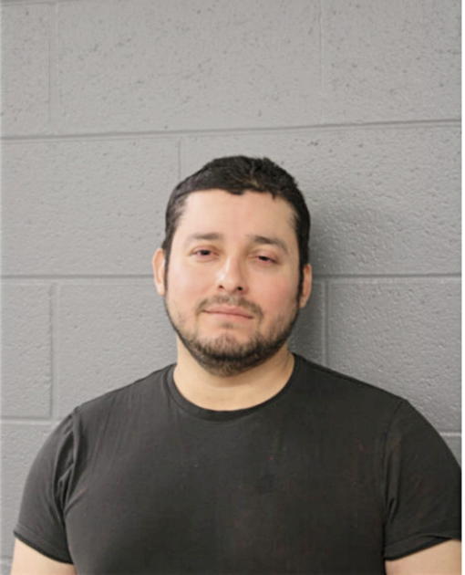 CRISTIAN ALEXANDER, Cook County, Illinois