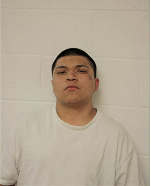 HECTOR M AVILA, Cook County, Illinois