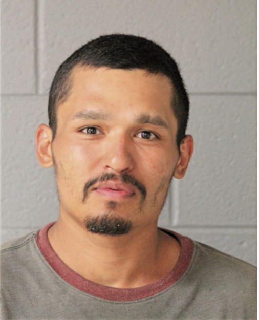 DAVID C CALVILLO, Cook County, Illinois