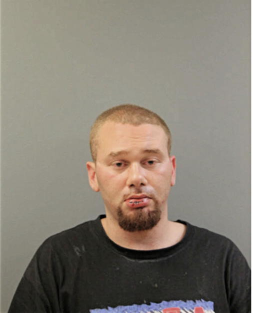 AARON E JOHNSON, Cook County, Illinois