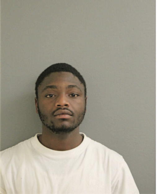 CHRISTOPHER N ELLIS, Cook County, Illinois