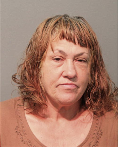 DIANE L FAGNANO, Cook County, Illinois