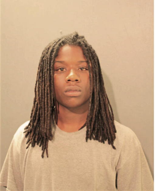 JESSE J GARDNER, Cook County, Illinois
