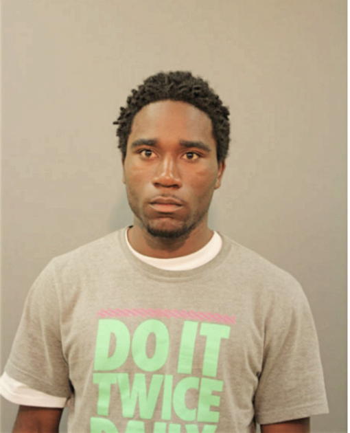 BRUCE C GREENE, Cook County, Illinois