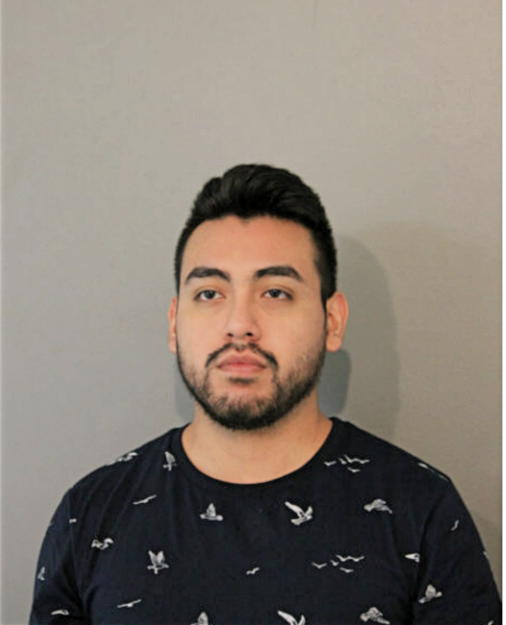EDUARDO A GUERRERO, Cook County, Illinois