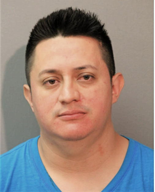 CRUZ HIDALGO-ESTRADA, Cook County, Illinois