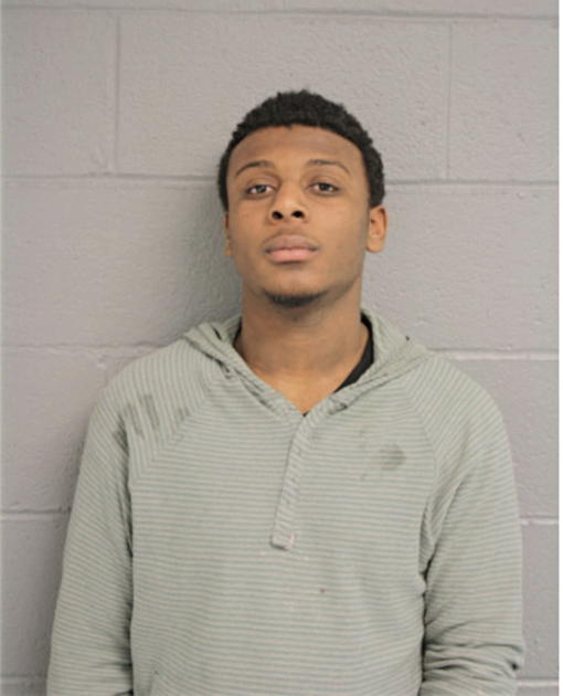 JOHNNIE L JOHNSON, Cook County, Illinois