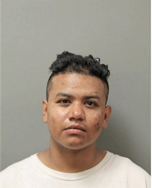 ANNETTE LEDESMA, Cook County, Illinois