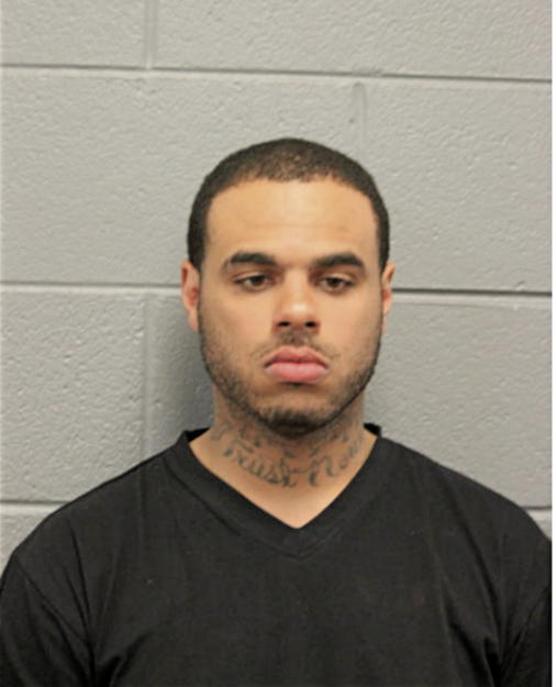 DEVIN L LOGGINS, Cook County, Illinois