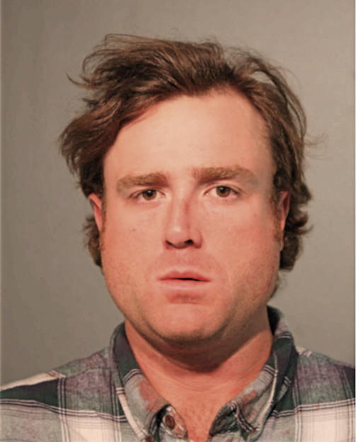 DANIEL B MCSWEENEY, Cook County, Illinois