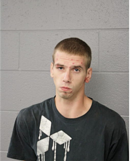 MICHAEL ALAN MEALY, Cook County, Illinois