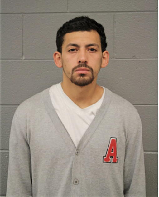 JOSEPH MEGAREJO, Cook County, Illinois