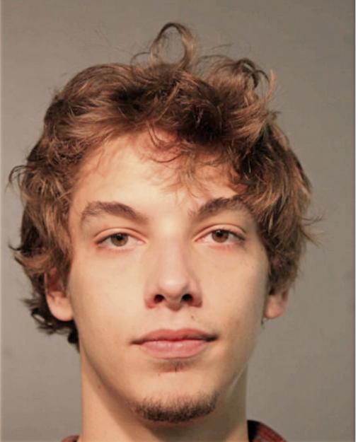 GUNNER B PETERSON, Cook County, Illinois