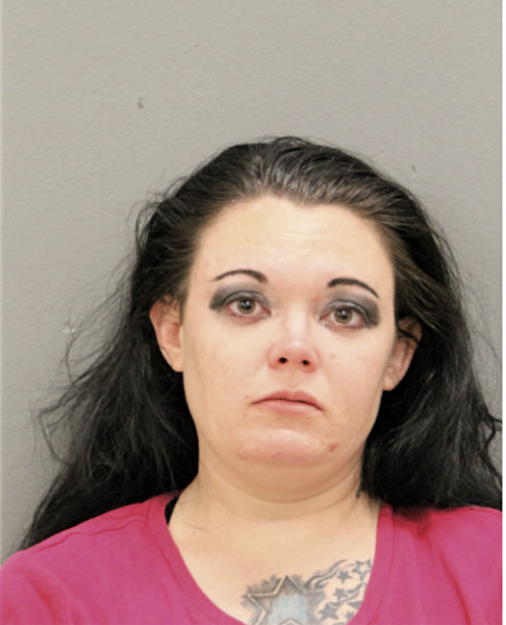 REBECCA L RICE, Cook County, Illinois
