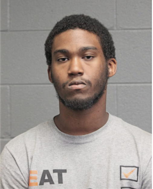JOSHUA N SALTERS, Cook County, Illinois