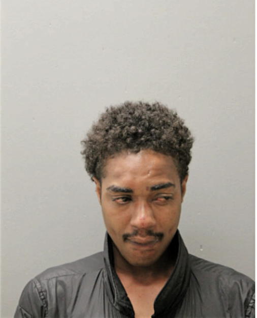 KYLE S SMITH, Cook County, Illinois