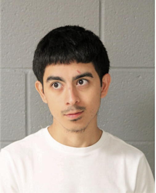 JESUS A VIDAL-LOPEZ, Cook County, Illinois