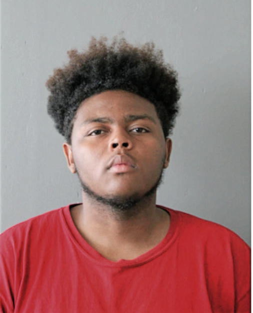 BRIAN T WINDON, Cook County, Illinois