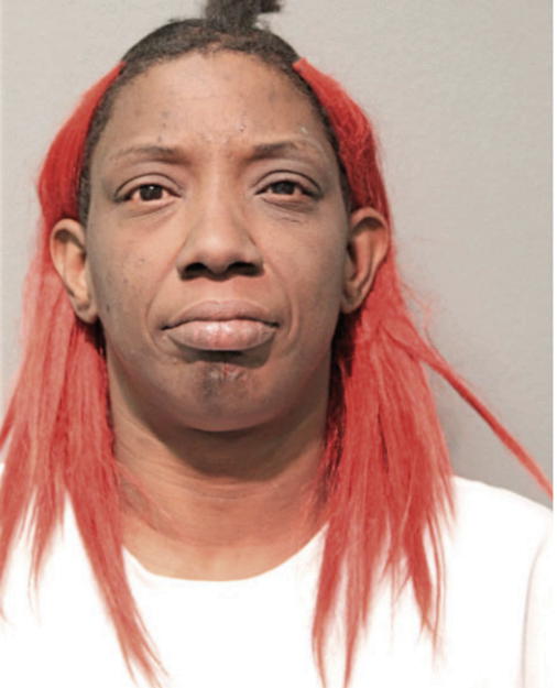 KIMBERLY M BRANCH, Cook County, Illinois