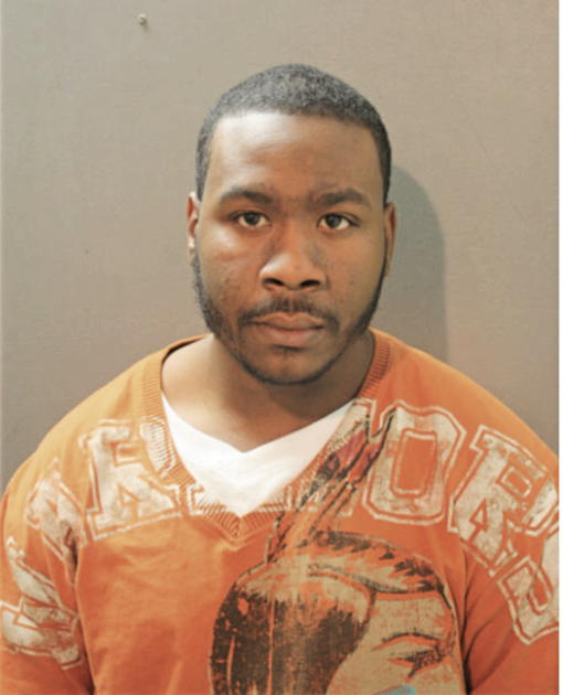 MICHAEL T CURTIS, Cook County, Illinois