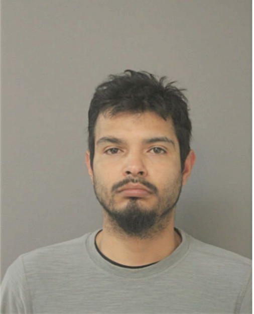 RICARDO DELGADO, Cook County, Illinois
