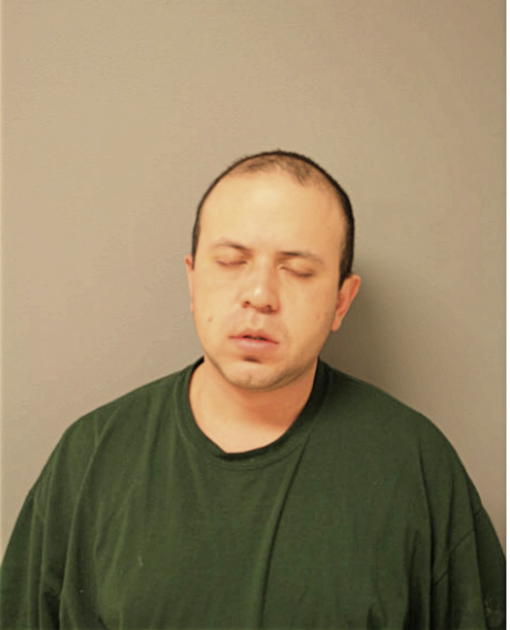 JUAN M DIAZ, Cook County, Illinois