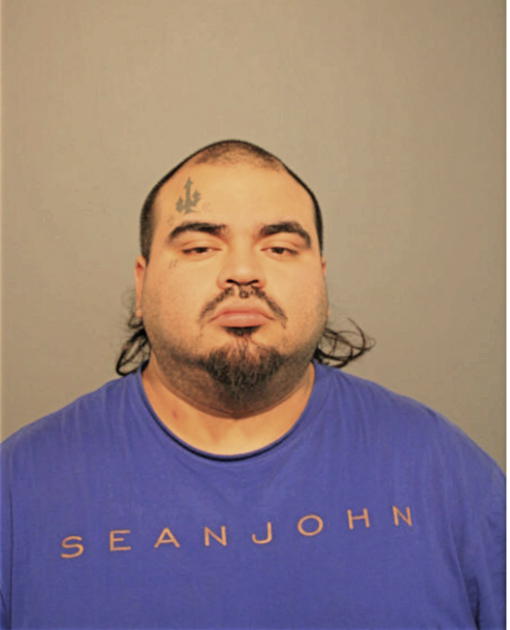 LUIS JOSE GARCIA, Cook County, Illinois