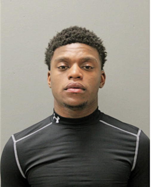 DERRICK A HAYES, Cook County, Illinois