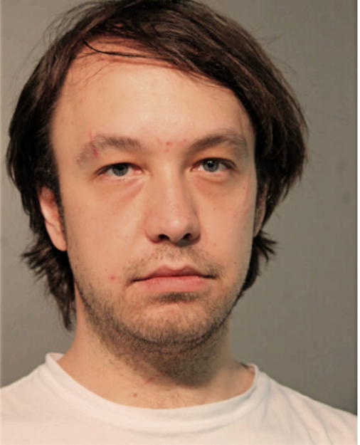 BOJAN JOVANOVIC, Cook County, Illinois