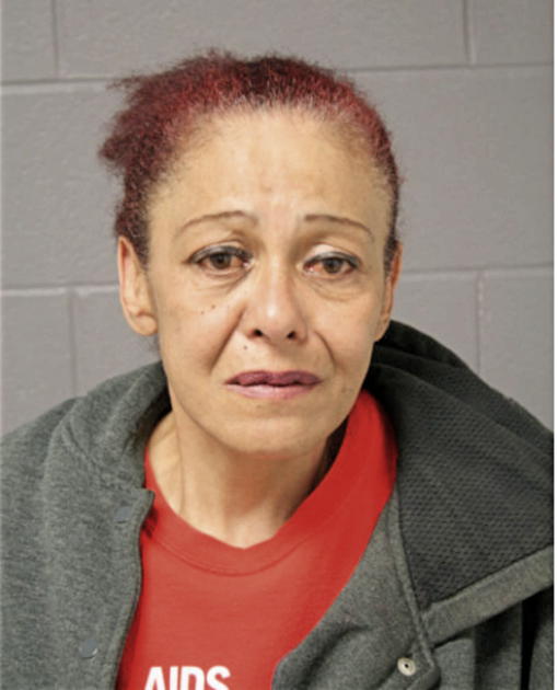 ANA L GUZMAN, Cook County, Illinois
