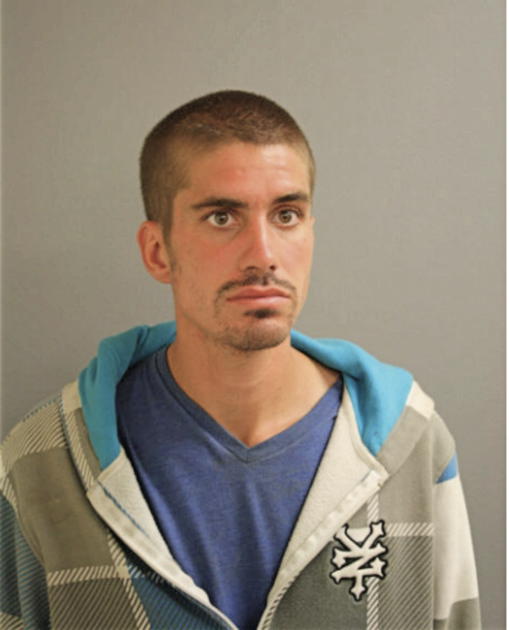 JAMES J MCGINN, Cook County, Illinois