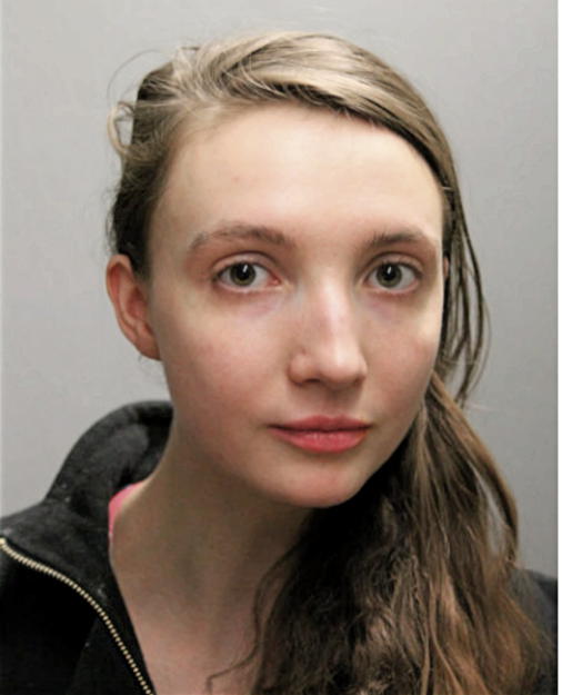 ERIKA A NEUMAN, Cook County, Illinois