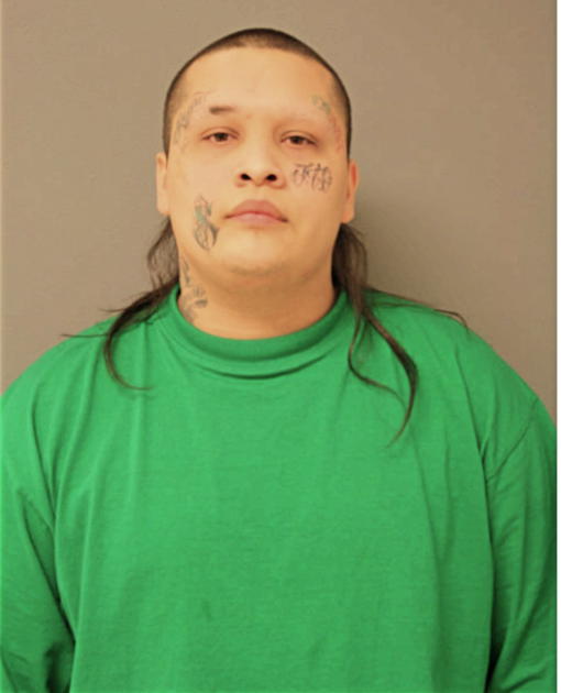DAVID OCHOA, Cook County, Illinois