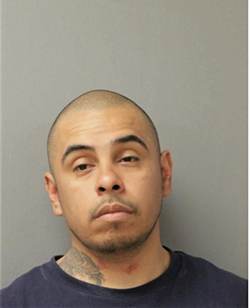 SERGIO G ORTEGA, Cook County, Illinois