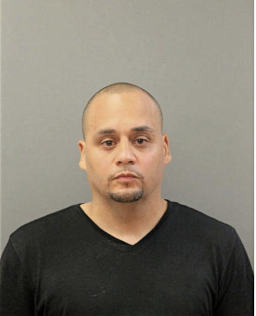 ANGEL L PAGAN, Cook County, Illinois