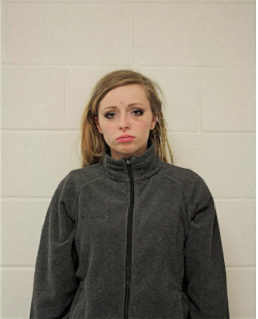 SAMANTHA N PALERMO, Cook County, Illinois