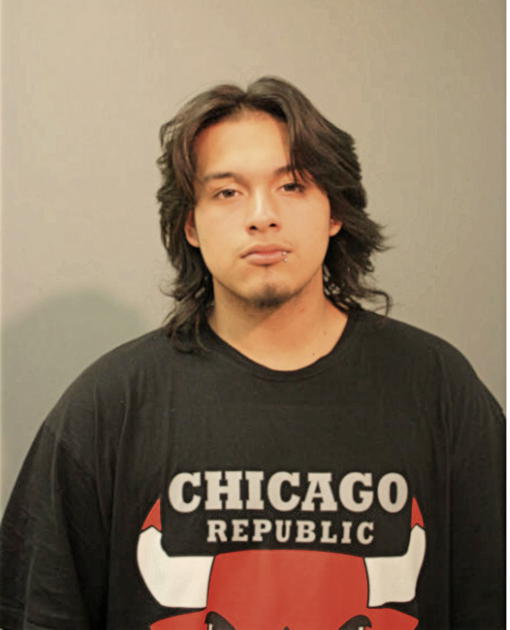 JOSE A PATINO, Cook County, Illinois