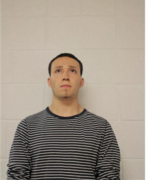 LUIS F RUIZ, Cook County, Illinois