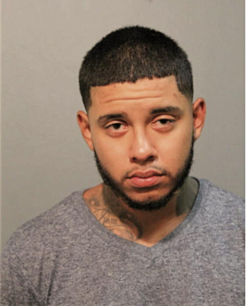 MIGUEL ANGEL S SANCHEZ, Cook County, Illinois