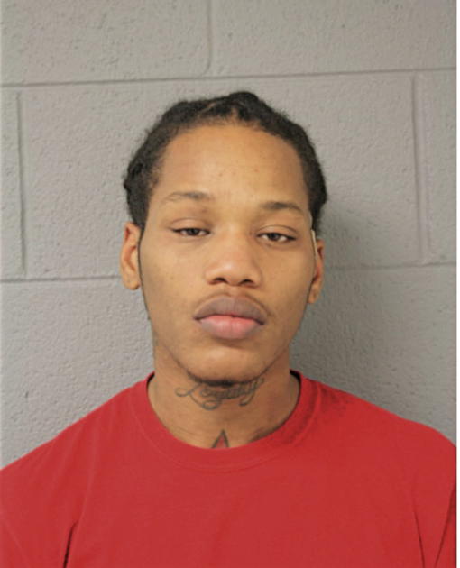 ALLAN A WHITEHEAD, Cook County, Illinois