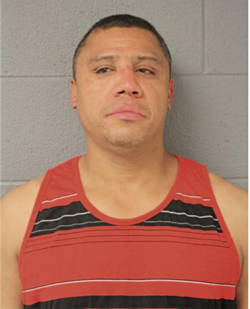 SHAWN L WILLIAMS, Cook County, Illinois