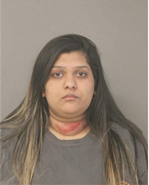 KARISHMA A AMIN, Cook County, Illinois