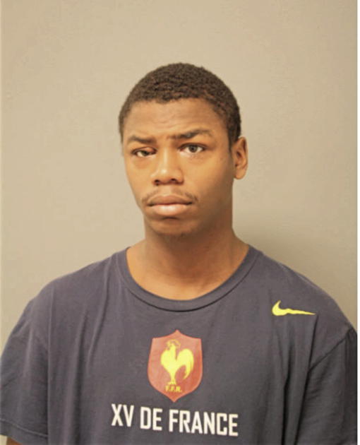 BRANDON A BLUE, Cook County, Illinois