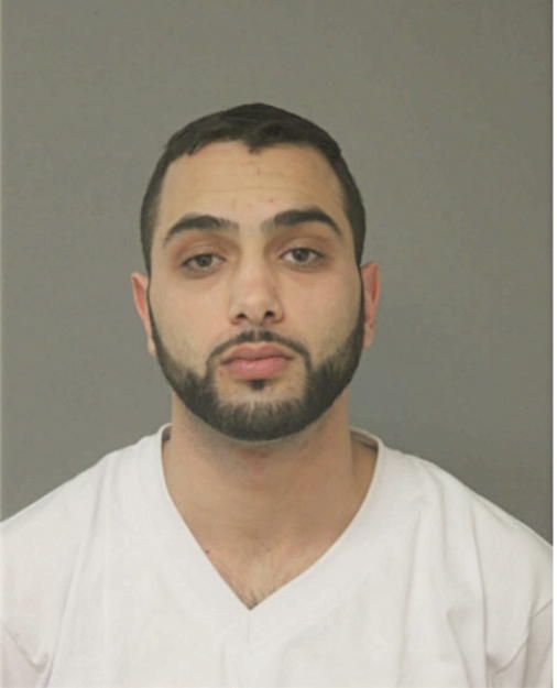 RAMZEY A DANA, Cook County, Illinois