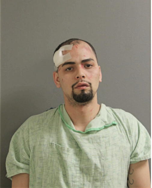 IVAN DIAZ, Cook County, Illinois