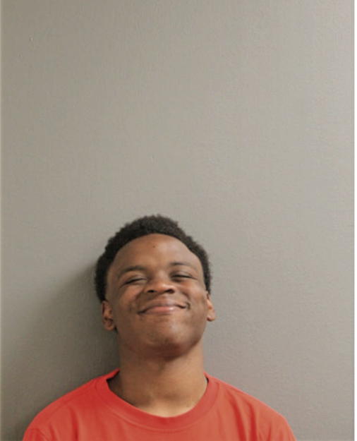 DEVIN ELAM, Cook County, Illinois