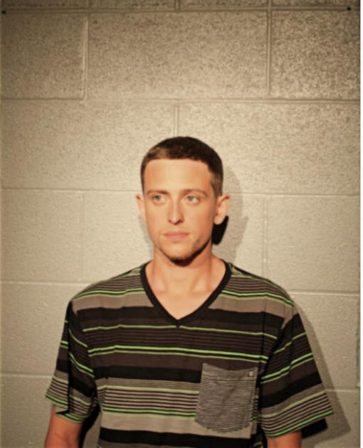 RYAN W FIGGINS, Cook County, Illinois